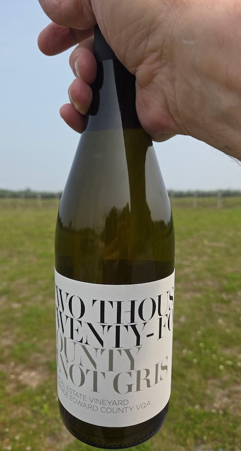2024 County Pinot Gris VQA