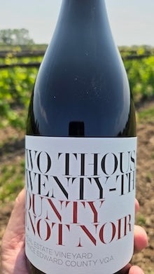 2023 County Pinot Noir VQA