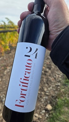 2024 Fortified Cab Franc VQA